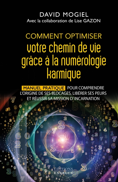 Comment optimiser votre chemin grâce à la numérologie karmique : manuel pratique pour comprendre l'origine de ses blocages, libérer ses peurs et réussir sa mission incarnation