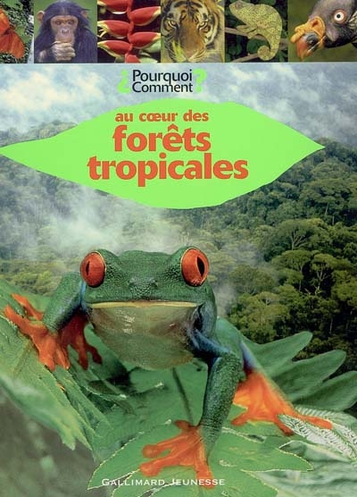 Au coeur des forêts tropicales