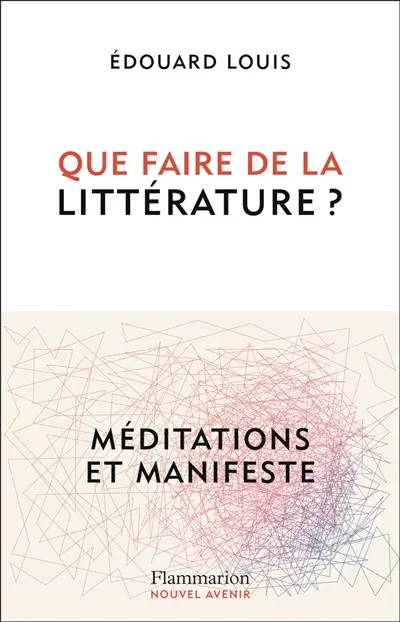 Que faire de la littérature ? : méditations et manifeste