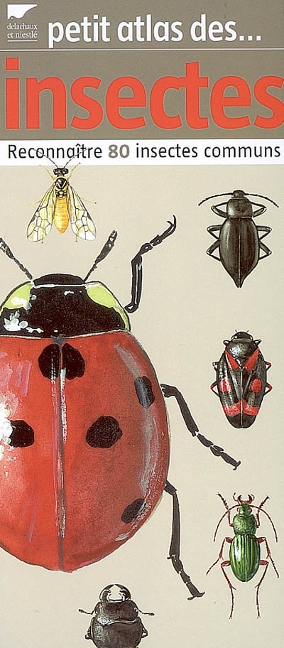 Petit atlas des insectes : reconnaître 80 insectes communs