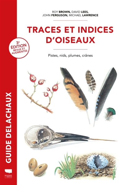 Traces et indices d'oiseaux...