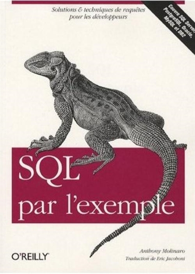 SQL par l'exemple : solutions & techniques de requêtes pour les développeurs