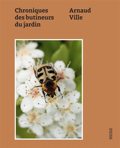 Chroniques des butineurs du...