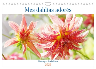 Mes dahlias adorés...