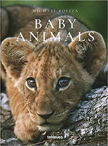 Michael Poliza Baby Animals