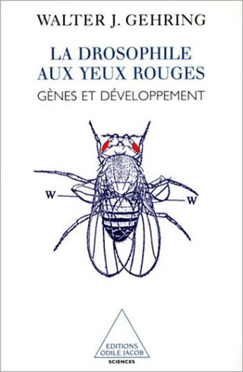 La drosophile aux yeux rouges : gènes et développement