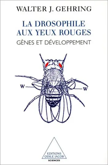 La drosophile aux yeux rouges : gènes et développement