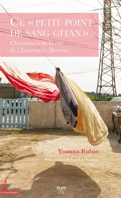 Ce "petit point de sang gitan" : chroniques de la cité de l'Espérance (Berriac)