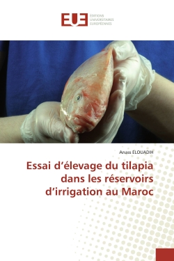 Essai d'élevage du tilapia...