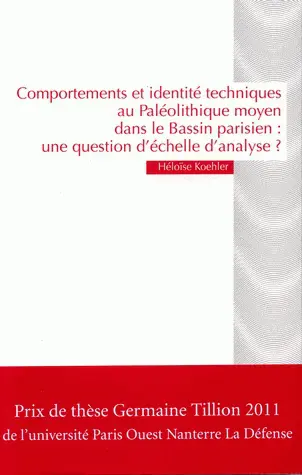Comportements et identité techniques au Paléolithique moyen dans le Bassin parisien : une question d'échelle d'analyse ?