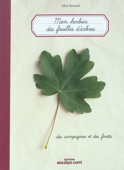 mon herbier des feuilles d'arbres