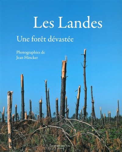 Les Landes : une forêt dévastée