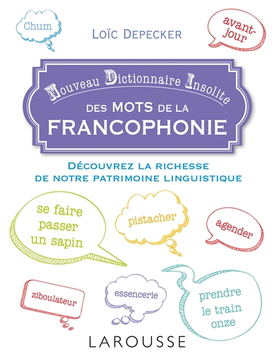 Nouveau dictionnaire insolite des mots de la francophonie : découvrez la richesse de notre patrimoine linguistique