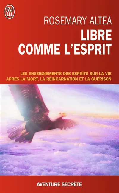Libre comme l'esprit : les enseignements des esprits sur la vie après la mort, la réincarnation et la guérison