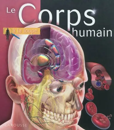 Le corps humain