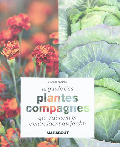 Le guide des plantes compagnes qui s'aiment et s'entraident au jardin