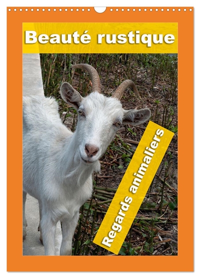 Beauté rustique Regards animaliers (Calendrier mural 2026 DIN A3 horizontal), CALVENDO calendrier mensuel : Des portraits d'animaux d'élevage mettant en valeur leur caractère unique.
