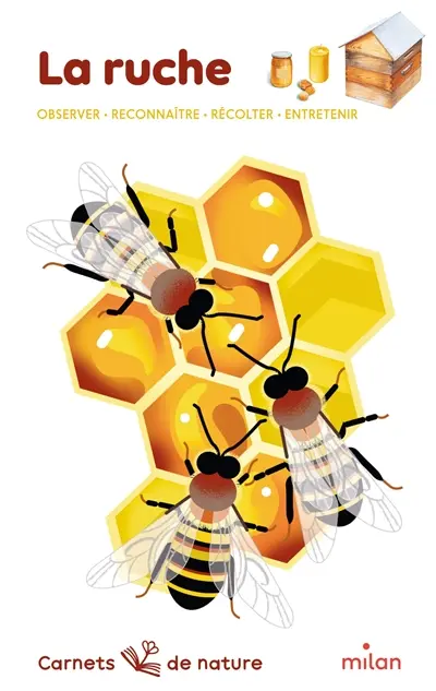 La ruche : observer, reconnaître, récolter, entretenir