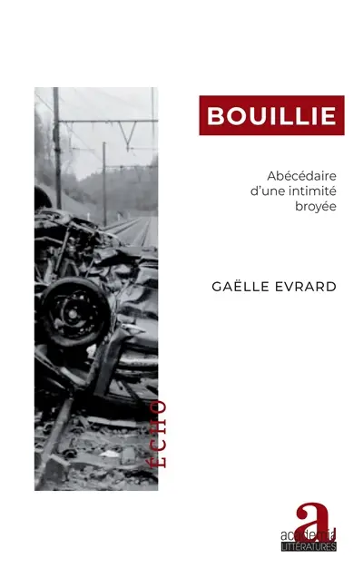 Bouillie : abécédaire d'une intimité broyée