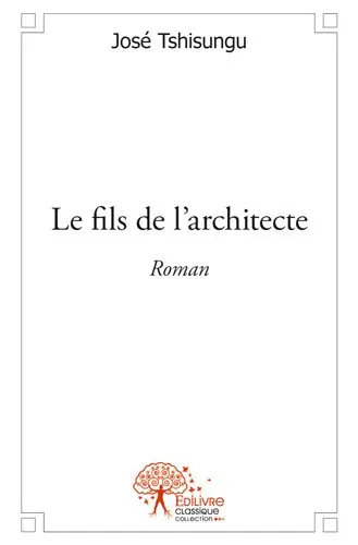 Le fils de l'architecte : Roman