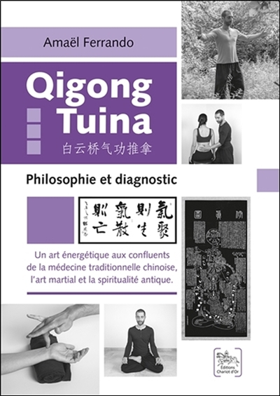 Qi gong tuina : philosophie et diagnostic : un art énergétique aux confluents de la médecine traditionnelle chinoise, l'art martial et la spiritualité antique