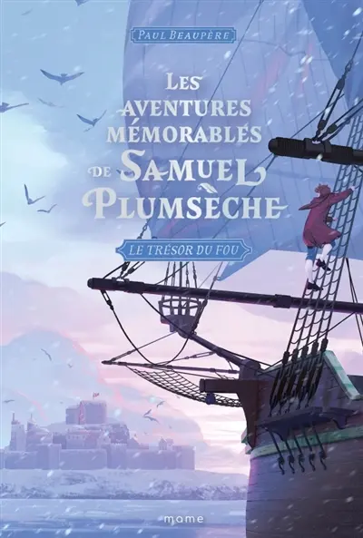 Les aventures mémorables de Samuel Plumsèche. Vol. 3. Le trésor du fou