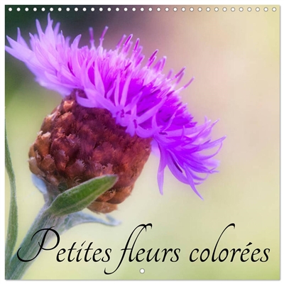 Petites fleurs colorées...