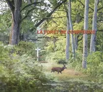 La forêt de Compiègne