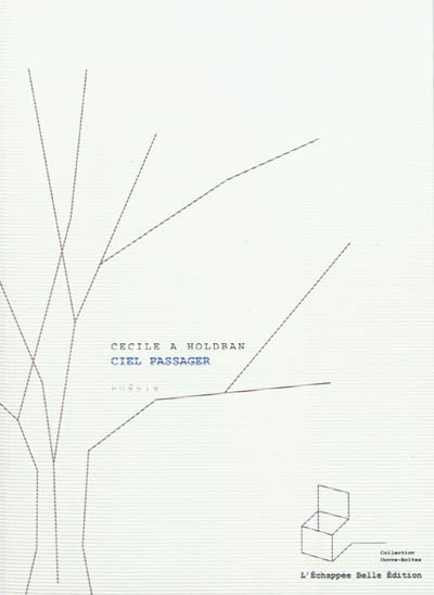 Ciel passager : poèmes 2010-2011