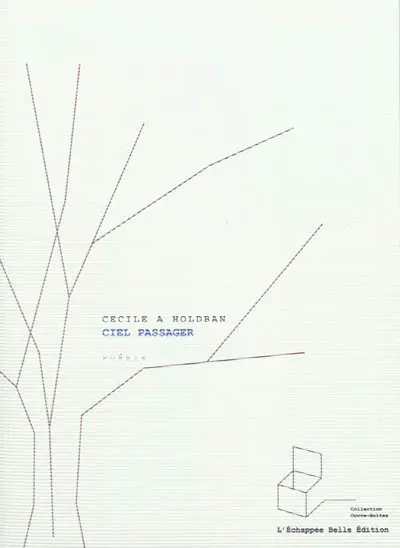 Ciel passager : poèmes 2010-2011