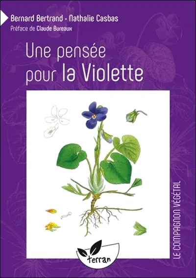 Une pensée pour la violette