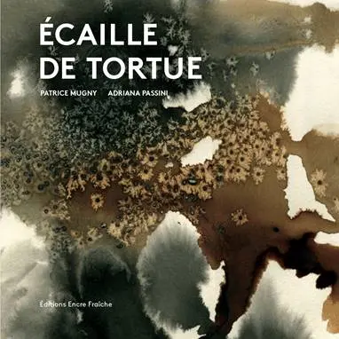 Ecaille de tortue