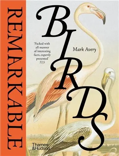Remarkable Birds (Compact ed)