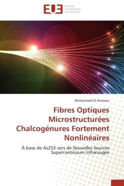 Fibres Optiques Microstructurées Chalcogénures Fortement Nonlinéaires : A base de As2S3 vers de Nouvelles Sources Supercontinuum Infrarouges