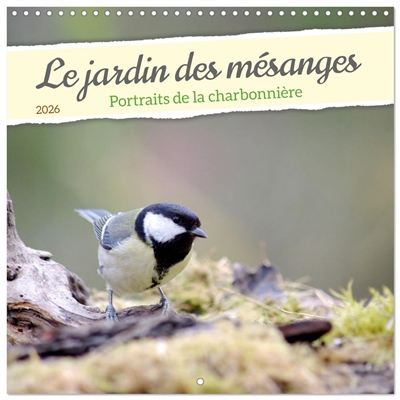 Le jardin des mésanges...