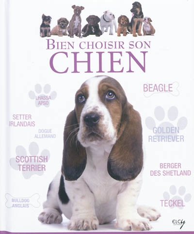 Bien choisir son chien : guide des animaux