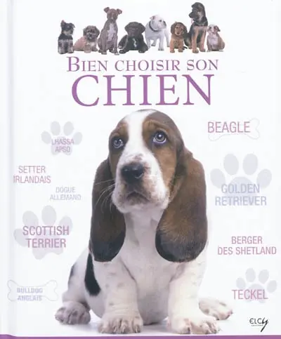 Bien choisir son chien : guide des animaux