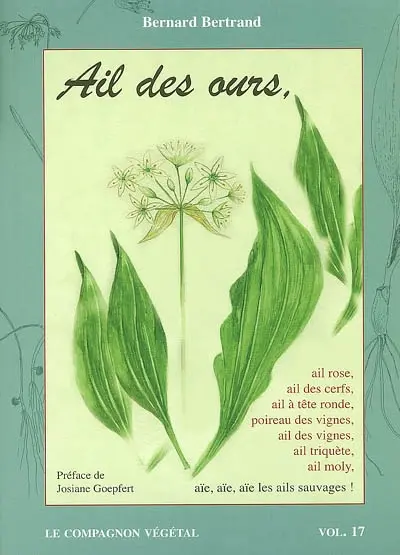 Ail des ours : aïe, aïe, aïe, les ails sauvages !