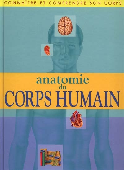 Anatomie du corps humain : connaître et comprendre son corps