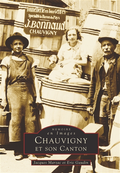 Chauvigny et son canton
