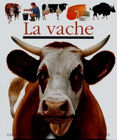 La vache