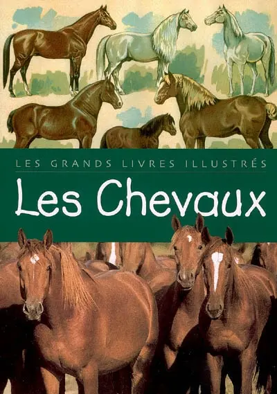Les chevaux