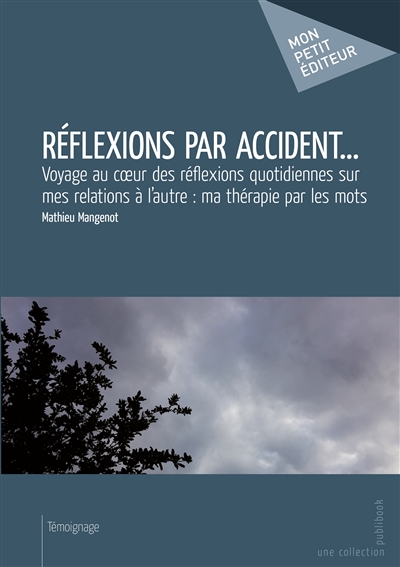 Réflexions par accident... : Voyage au cœur des réflexions quotidiennes sur mes relations à l'autre : ma thérapie par les mots
