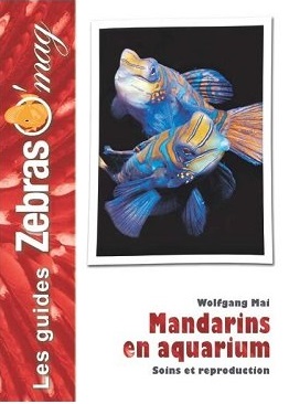 Mandarins en aquarium : soins et reproduction