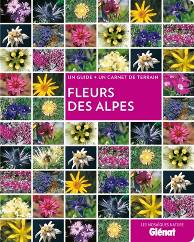 Fleurs des Alpes : un guide + un carnet de terrain