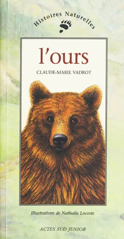 L'ours