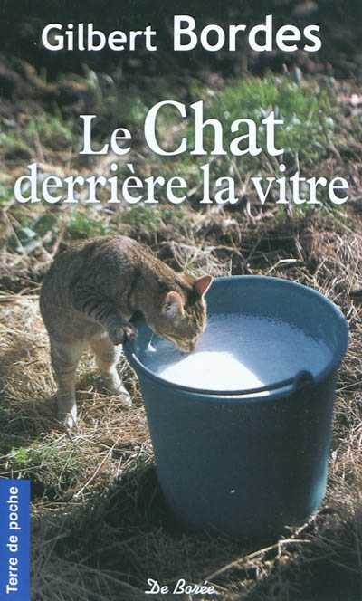 Chat derrière la vitre (le)