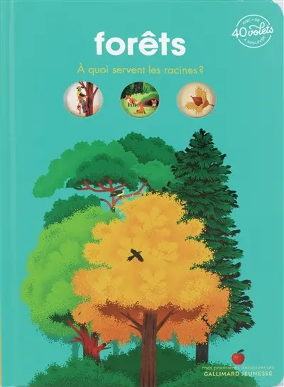 Forêts : à quoi servent les racines ?