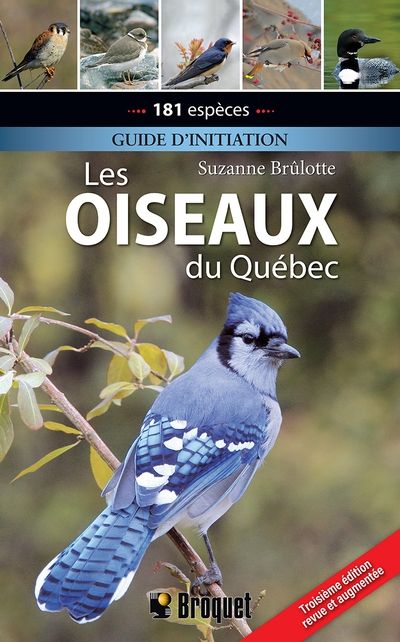 Les oiseaux du Québec : Guide d'initiation