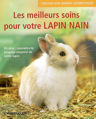 Les meilleurs soins pour votre lapin nain : en plus, connaître le langage corporel de votre lapin